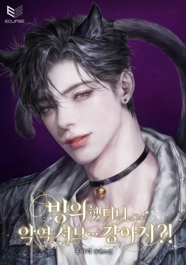 Novel Banner