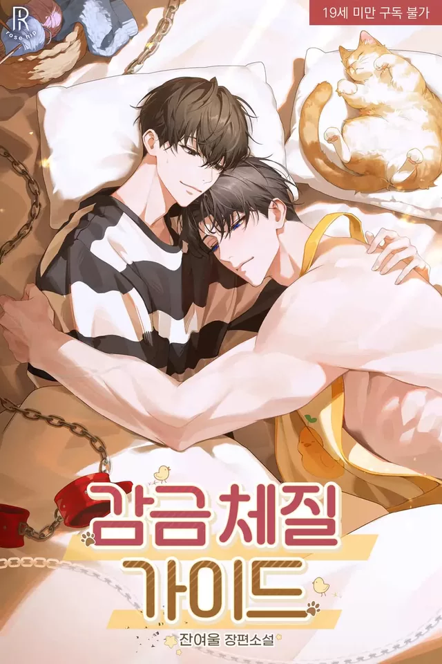 Novel Banner