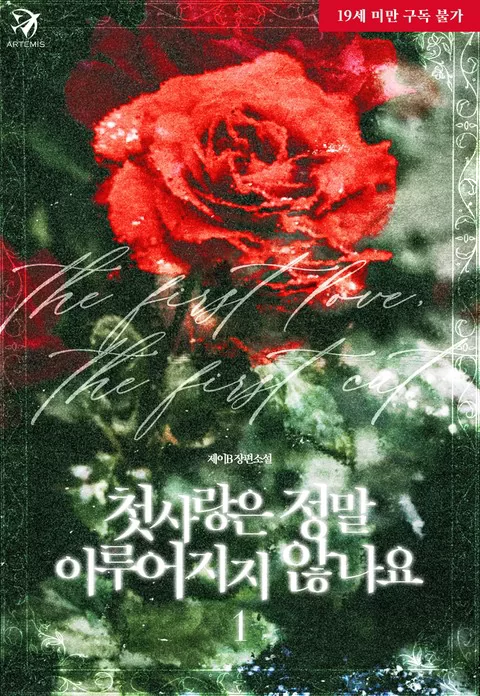 Novel Banner