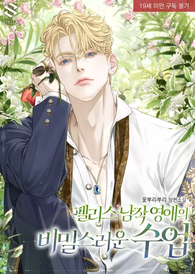 Novel Banner