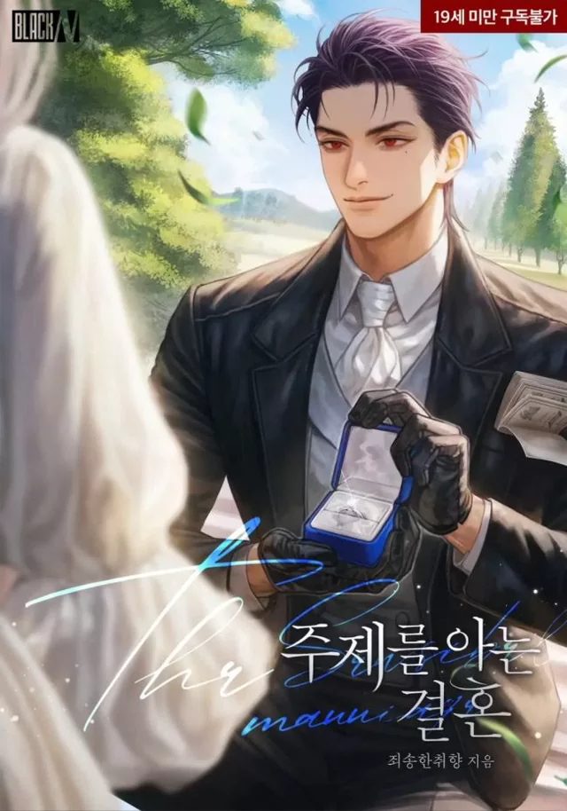 Novel Banner