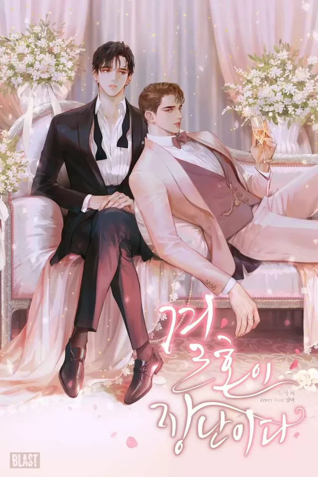Novel Banner