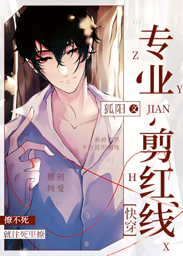 Novel Banner