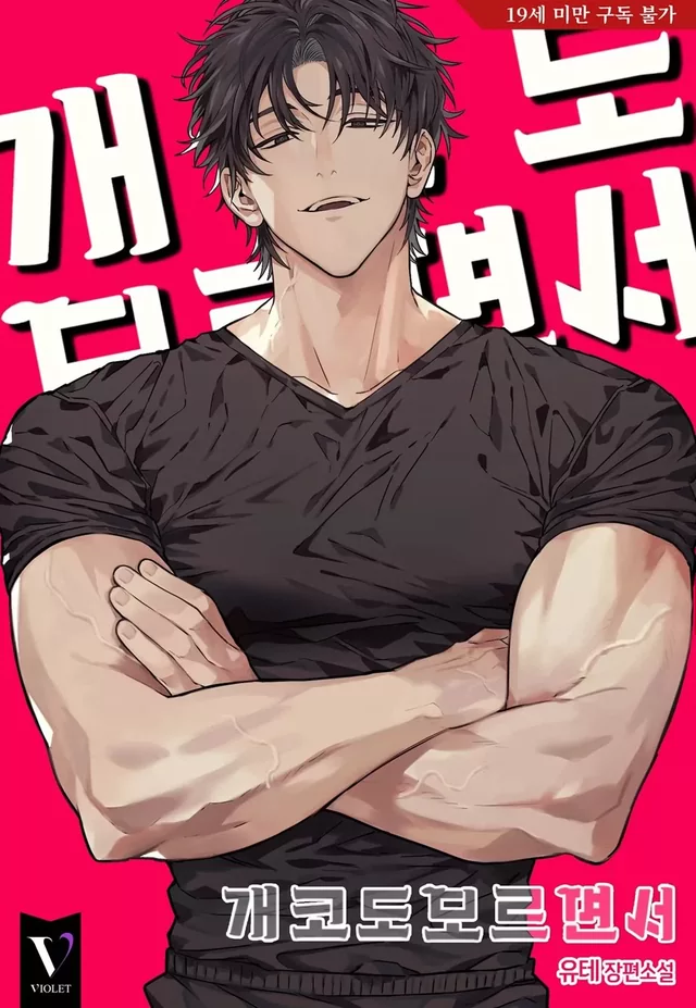 Novel Banner