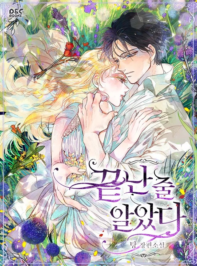 Novel Banner