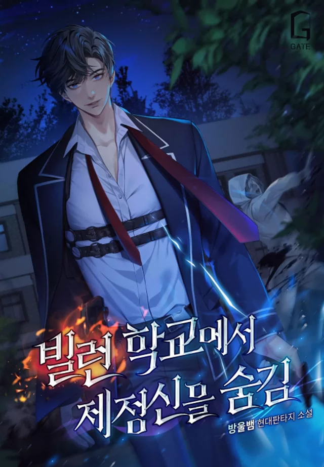 Novel Banner