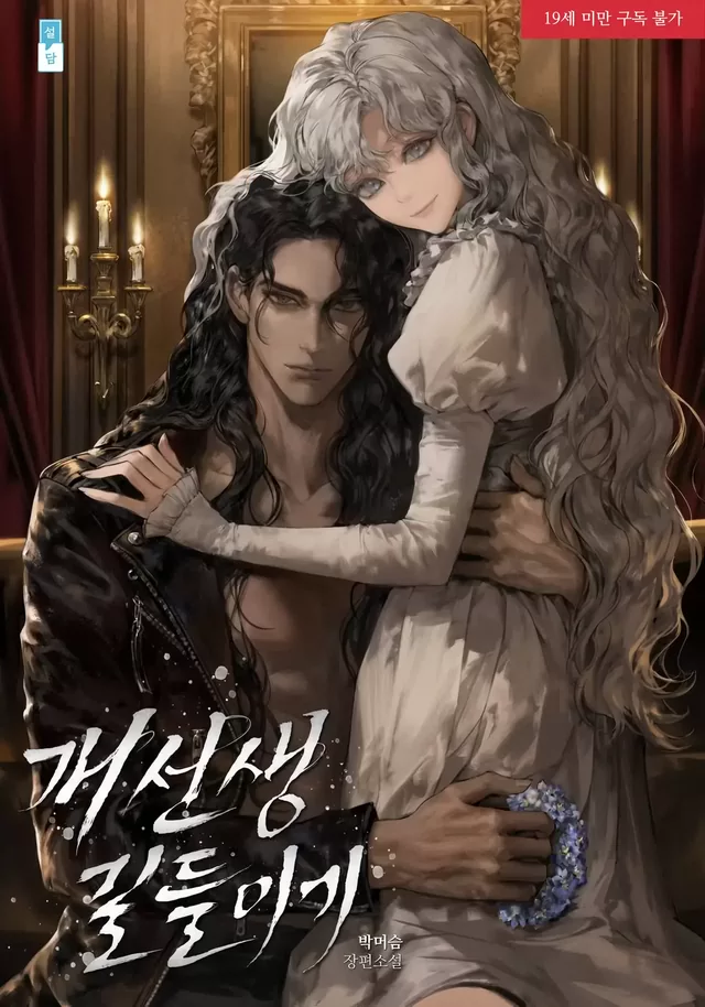 Novel Banner