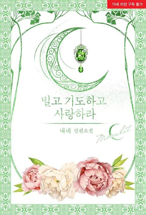 Novel Banner