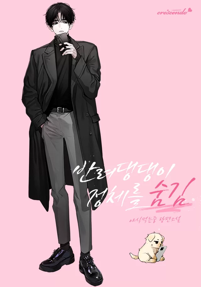 Novel Banner
