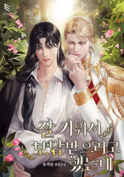Novel Banner