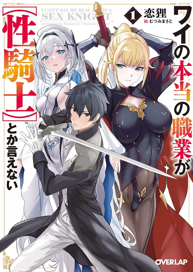 Novel Banner