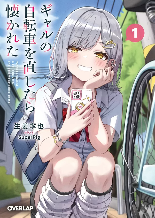 Novel Banner