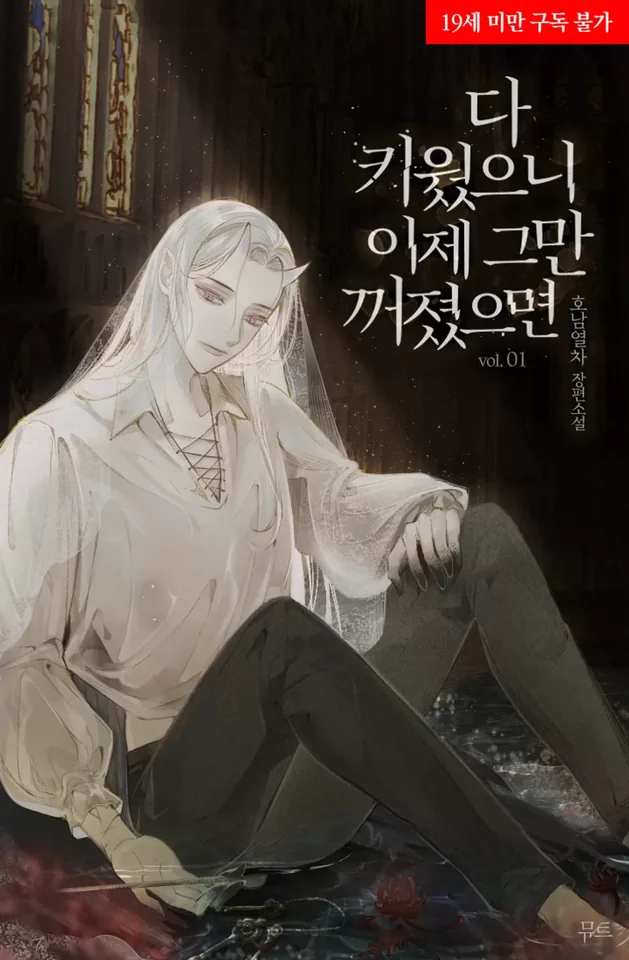 Novel Banner