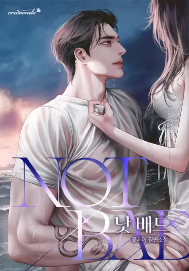 Novel Banner