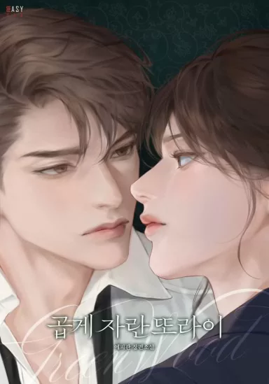 Novel Banner
