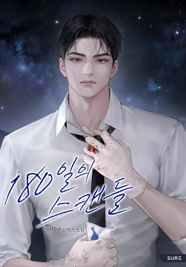 Novel Banner