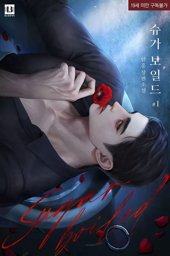 Novel Banner