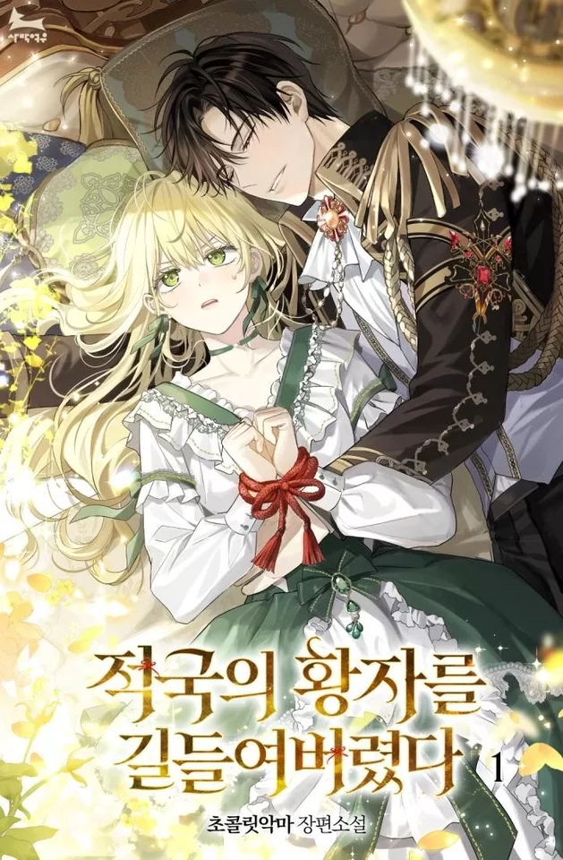 Novel Banner