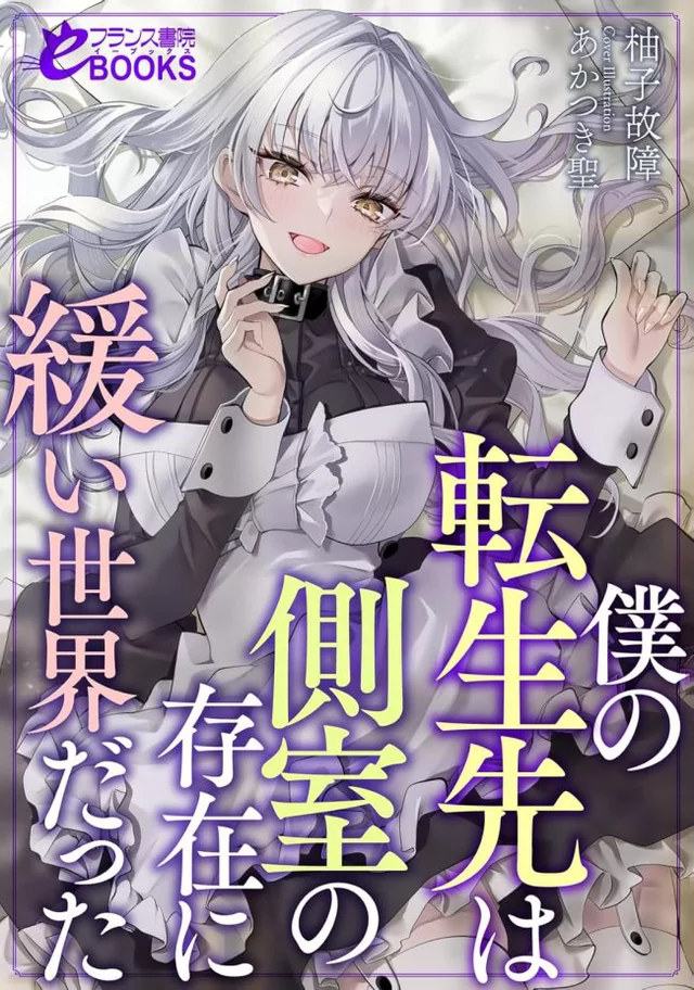 Novel Banner