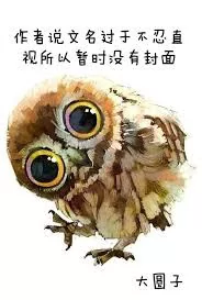 Novel Banner