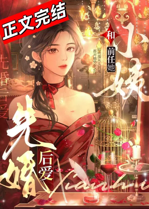 Novel Banner
