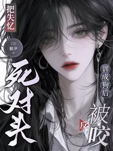 Novel Banner