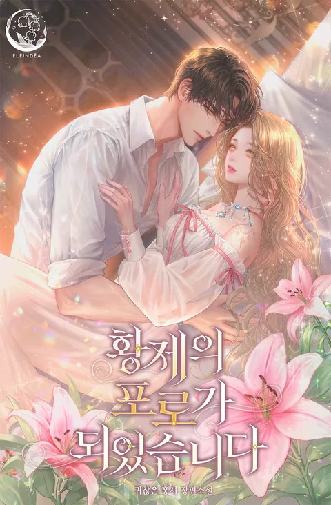 Novel Banner