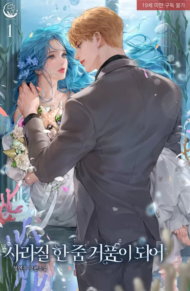 Novel Banner