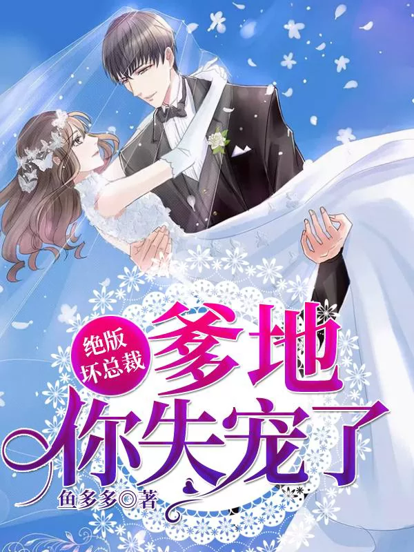 Novel Banner
