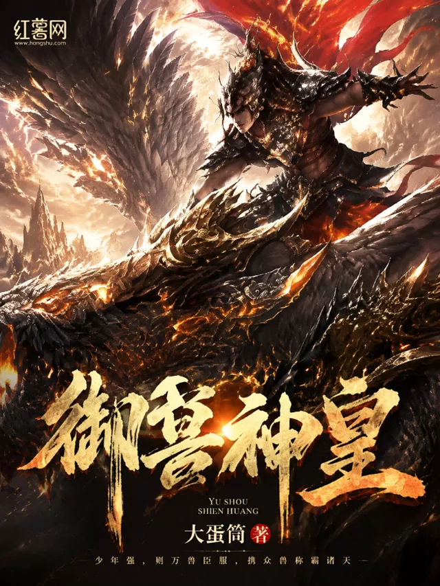 Novel Banner