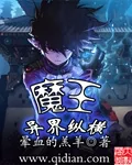 Novel Banner