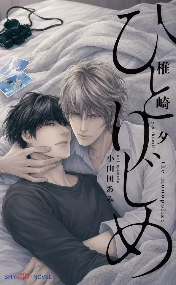 Novel Banner
