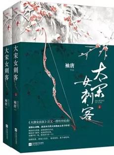 The Great Song Dynasty Female Assassin