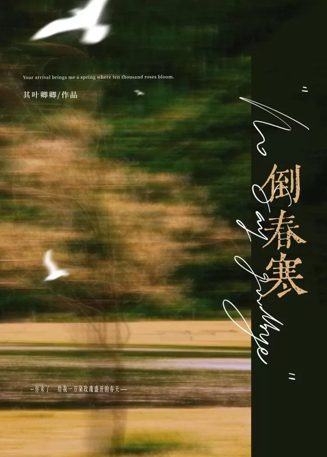 Novel Banner