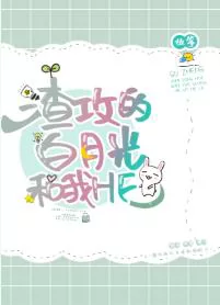 Novel Banner