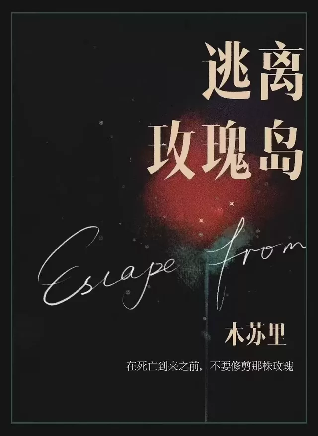 Novel Banner