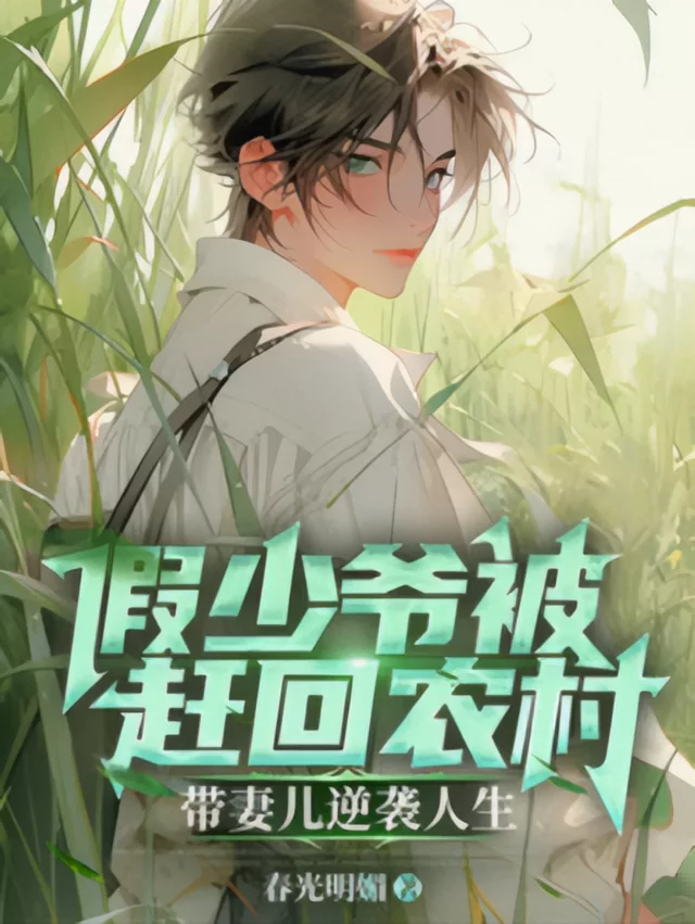 Novel Banner