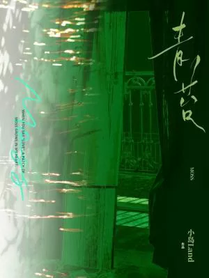 Novel Banner