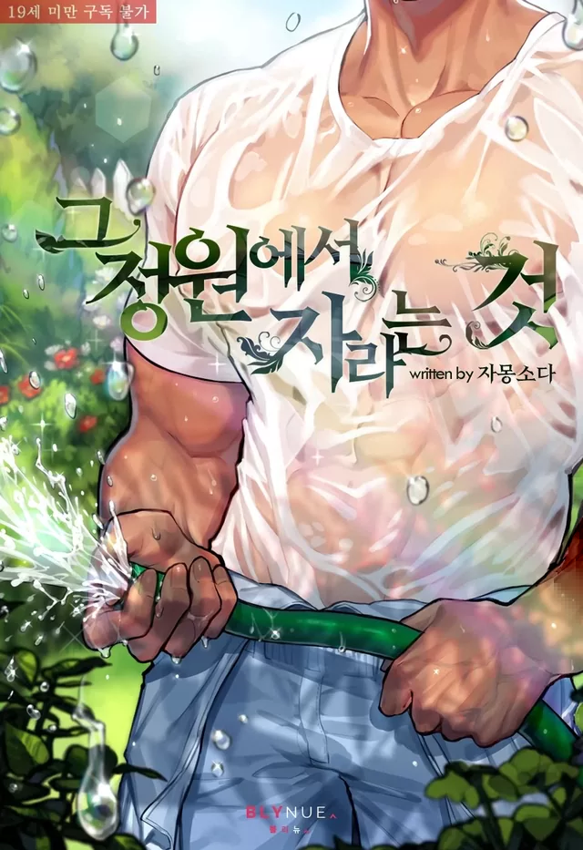 Novel Banner