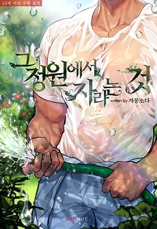 What Grows In That Garden?