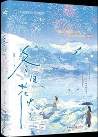 Winter Fireworks