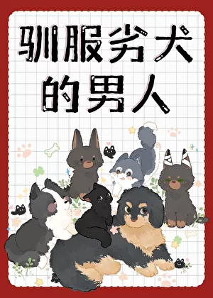 Novel Banner