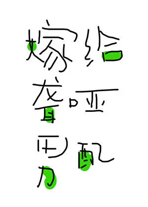 Novel Banner