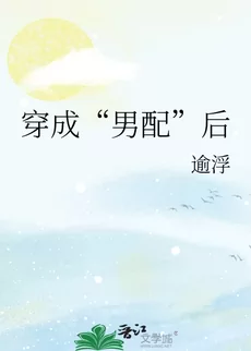 After Transmigrating as a “Supporting Male Character”