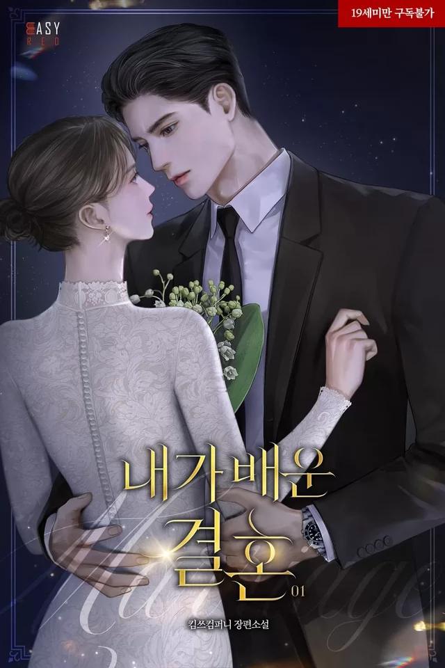 Novel Banner