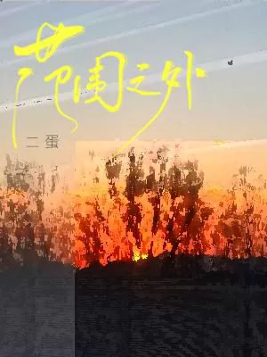 Novel Banner