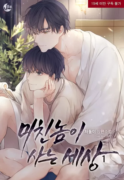 Novel Banner