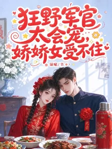 Novel Banner
