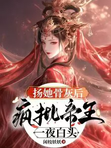 Novel Banner