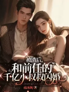 Novel Banner